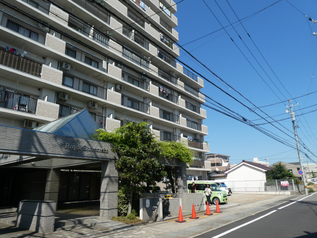 3094画像